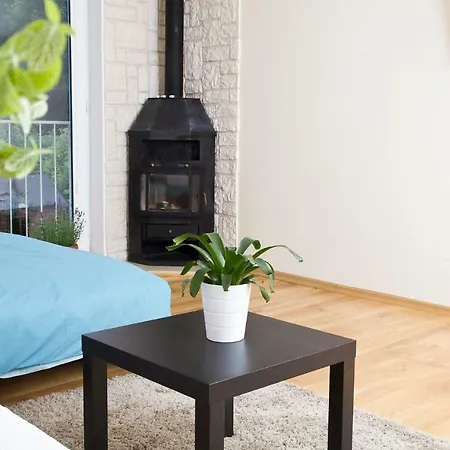 Apartment Studio Zen